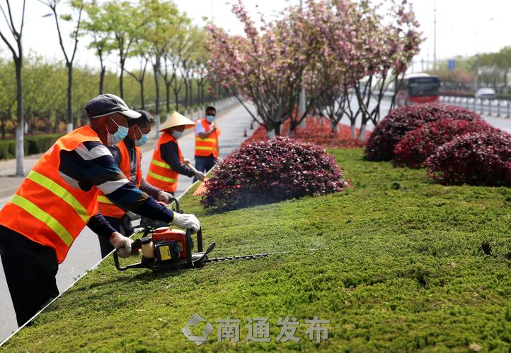 闵行区矿山绿化工程施工队