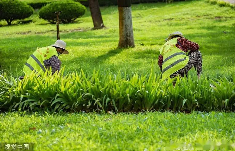 餐厅园林景观设计实景